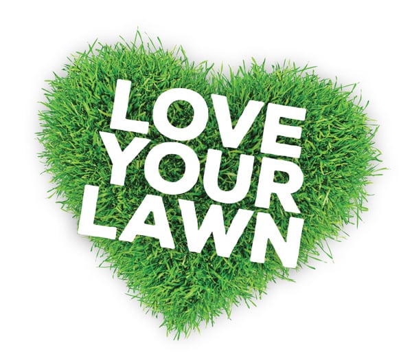 Lawn Care And Maintenance Guide Coolabah Turf 