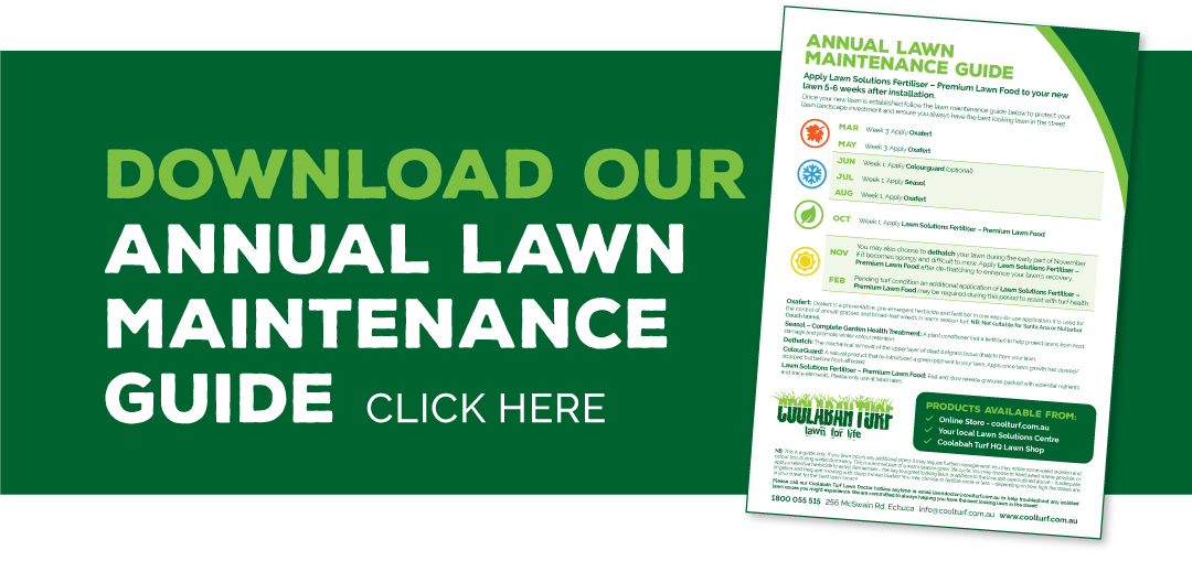 Seasonal Lawn Care And Maintenance Guide Coolabah Turf 