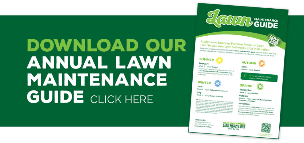 Download our annual lawn maintenance guide